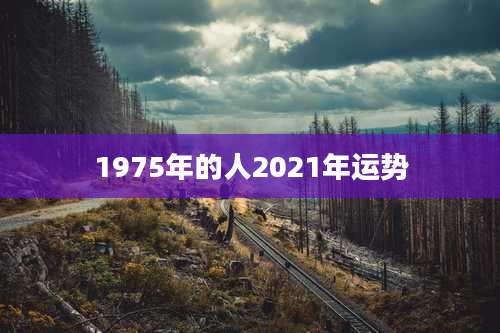1975年的人2021年运势