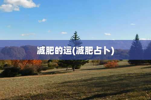 减肥的运(减肥占卜)