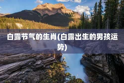 白露节气的生肖(白露出生的男孩运势)