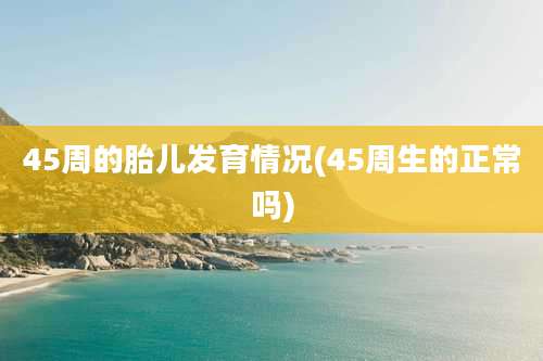 45周的胎儿发育情况(45周生的正常吗)