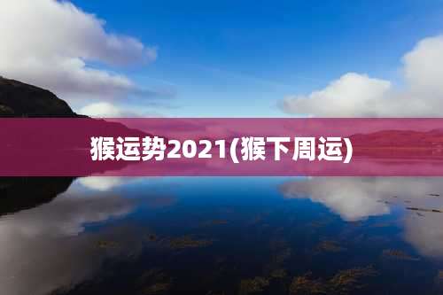 猴运势2021(猴下周运)