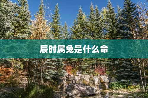 辰时属兔是什么命