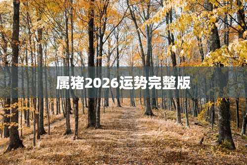 属猪2026运势完整版