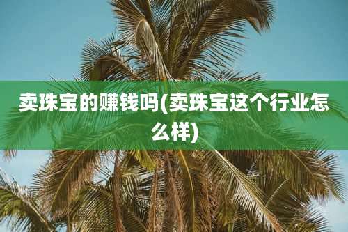 卖珠宝的赚钱吗(卖珠宝这个行业怎么样)