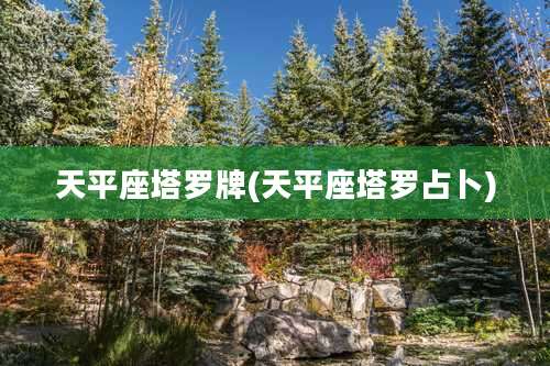 天平座塔罗牌(天平座塔罗占卜)