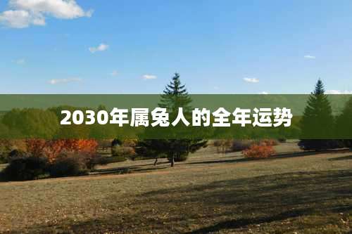 2030年属兔人的全年运势