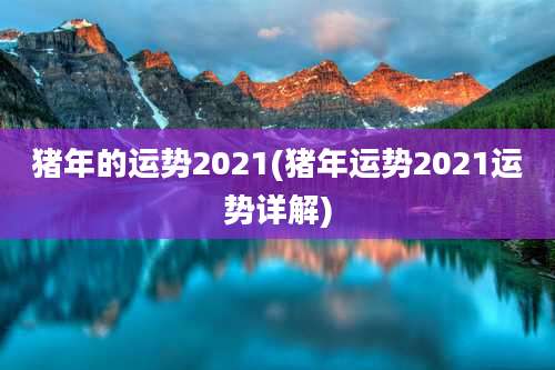 猪年的运势2021(猪年运势2021运势详解)
