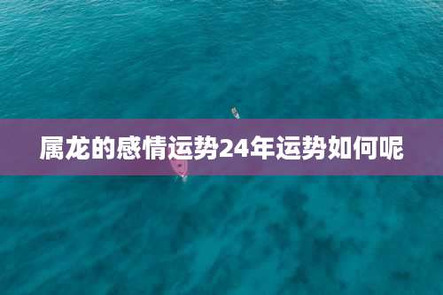 属龙的感情运势24年运势如何呢