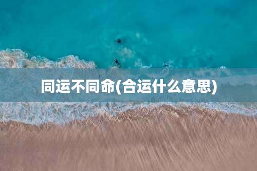 同运不同命(合运什么意思)