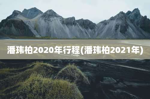 潘玮柏2020年行程(潘玮柏2021年)
