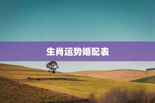 生肖运势婚配表