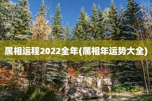 属相运程2022全年(属相年运势大全)