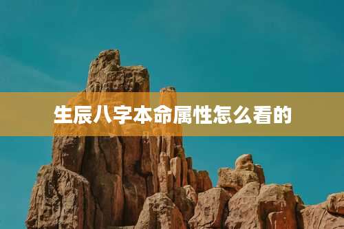 生辰八字本命属性怎么看的