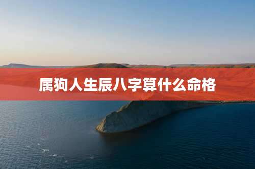 属狗人生辰八字算什么命格