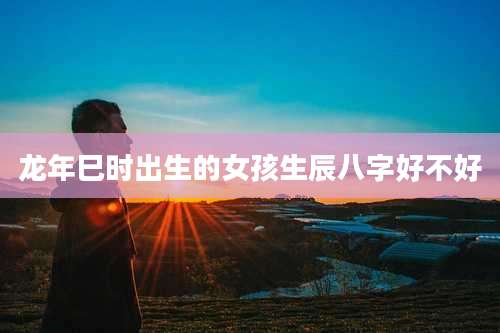 龙年巳时出生的女孩生辰八字好不好