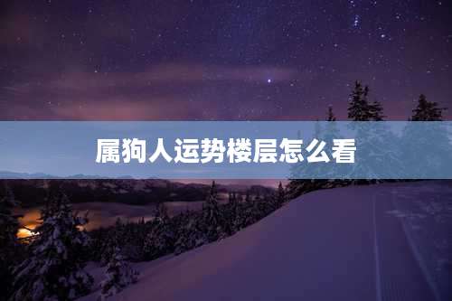 属狗人运势楼层怎么看