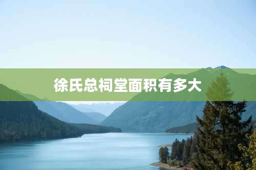 徐氏总祠堂面积有多大