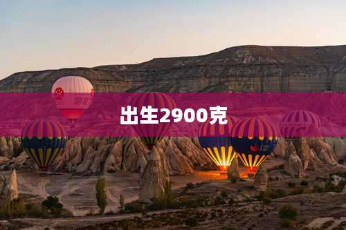 出生2900克