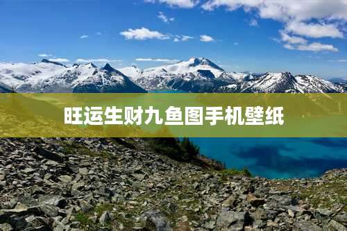 旺运生财九鱼图手机壁纸
