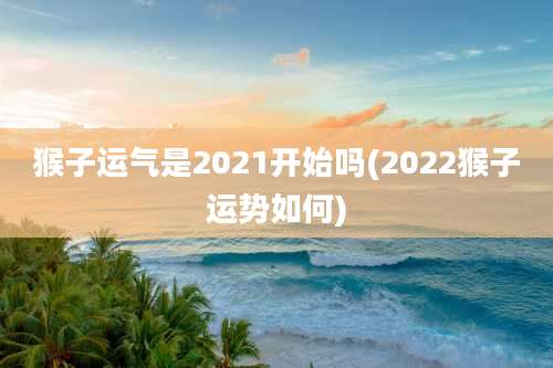 猴子运气是2021开始吗(2022猴子运势如何)