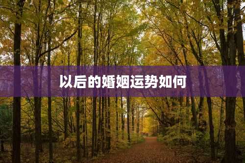 以后的婚姻运势如何
