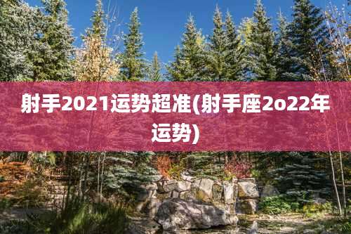 射手2021运势超准(射手座2o22年运势)