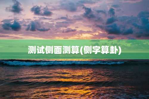 测试侧面测算(侧字算卦)