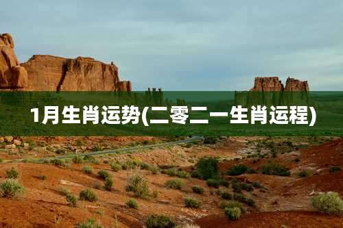 1月生肖运势(二零二一生肖运程)
