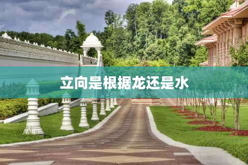 立向是根据龙还是水