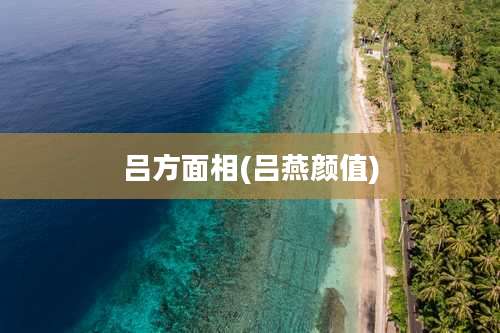 吕方面相(吕燕颜值)