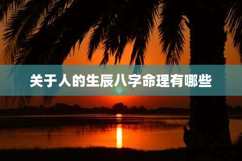 关于人的生辰八字命理有哪些