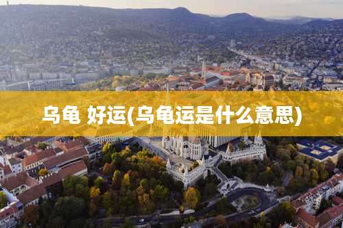 乌龟 好运(乌龟运是什么意思)