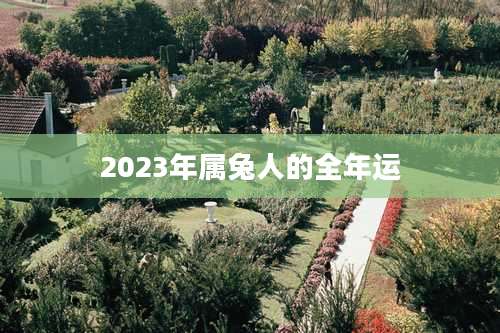 2023年属兔人的全年运