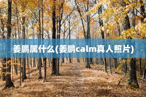 姜鹏属什么(姜鹏calm真人照片)