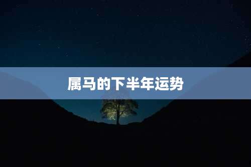 属马的下半年运势