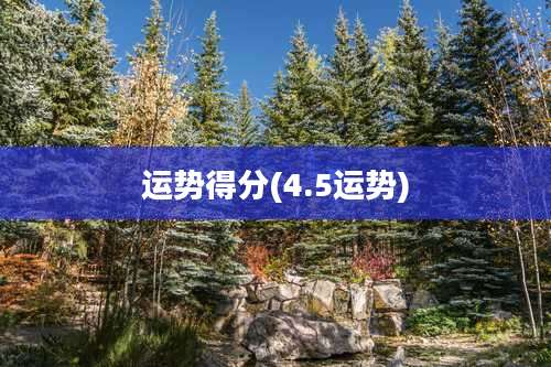 运势得分(4.5运势)