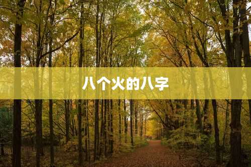 八个火的八字