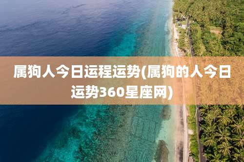 属狗人今日运程运势(属狗的人今日运势360星座网)