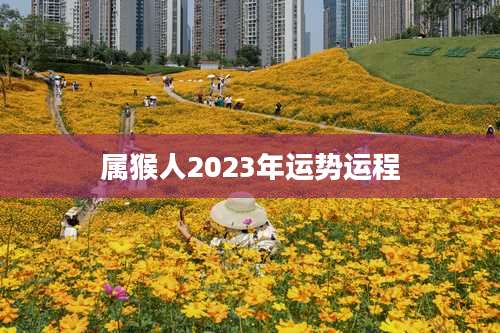 属猴人2023年运势运程