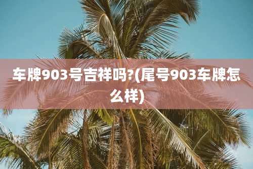车牌903号吉祥吗?(尾号903车牌怎么样)