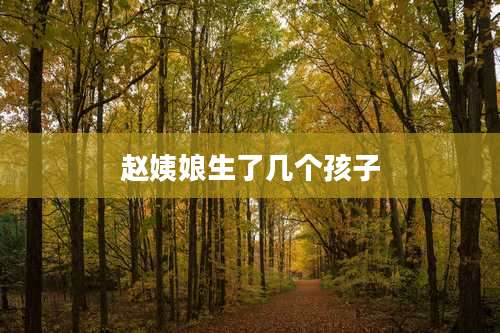 赵姨娘生了几个孩子