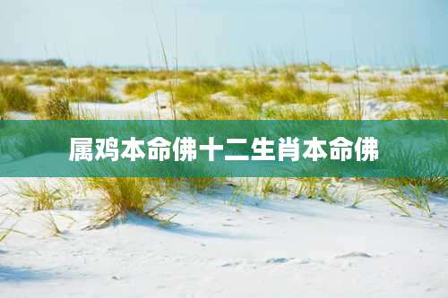 属鸡本命佛十二生肖本命佛