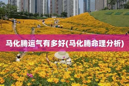 马化腾运气有多好(马化腾命理分析)