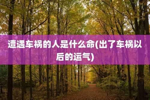 遭遇车祸的人是什么命(出了车祸以后的运气)