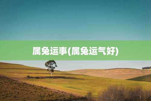 属兔运事(属兔运气好)