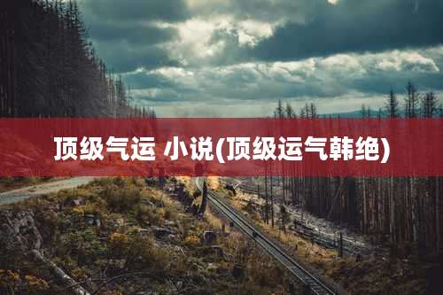 顶级气运 小说(顶级运气韩绝)