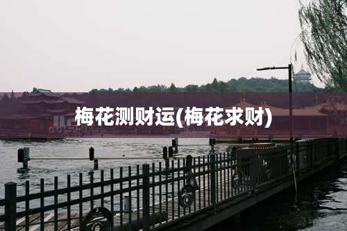 梅花测财运(梅花求财)