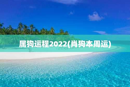 属狗运程2022(肖狗本周运)
