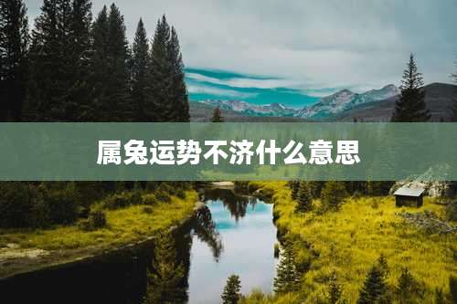 属兔运势不济什么意思