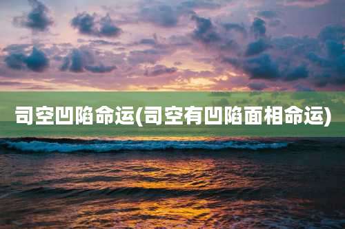 司空凹陷命运(司空有凹陷面相命运)